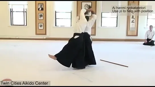 Ryotetori Series 2018 Donovan Waite Shihan at Twin Cities Aikido Center