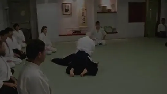 Boston Aikikai Fall Seminar 2016