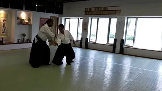 Boston Aikikai Donovan Waite Seminar 2016