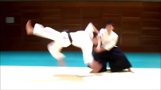 Advanced Aikido Ukemi_ Ushiro Otoshi Tutorial