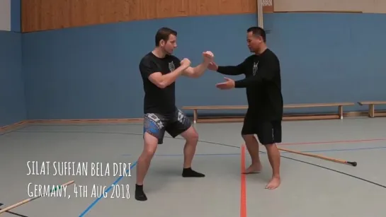 Silat Power Strikes - Silat Suffian Bela Diri