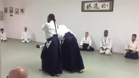 Aikido Donovan Waite Sensei New York AIKIKAI