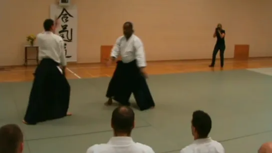 Donovan Waite 7th dan Aikikai Shihan in Sopron - Taijutsu