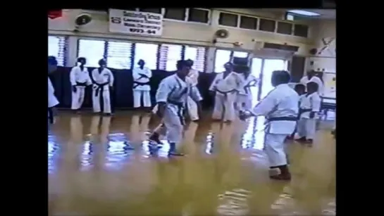 Asai Shihan  Assistant Andre Bertel teaching in Hawaii, USA