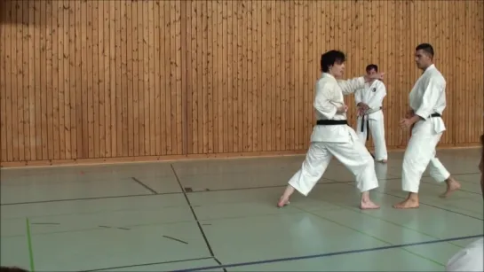 Andre Bertel Karate Seminar - Germany 2016