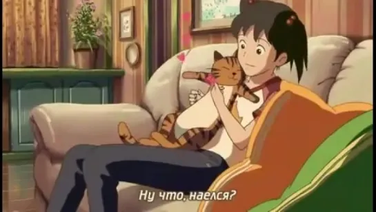 Neko no Shuukai [русские субтитры]