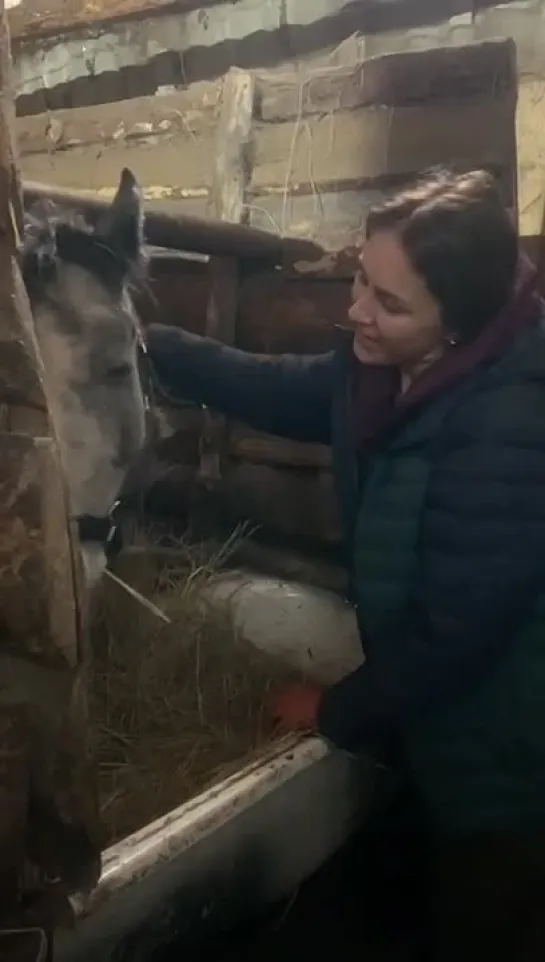 Они такие ласковые и доверяющие...