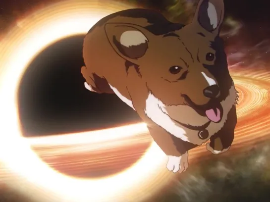 Contemporary Dog  AMV