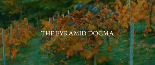 The Pyramid Dogma (2022)