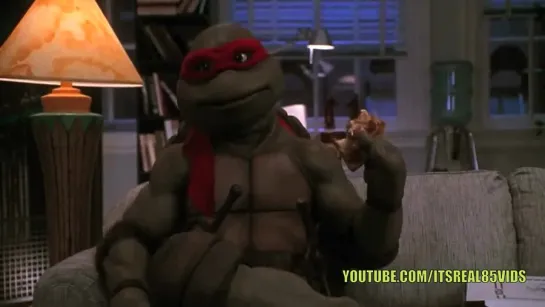 NIGGA TURTLES EPISODE 1