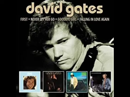 David Gates - Overnight Sensation