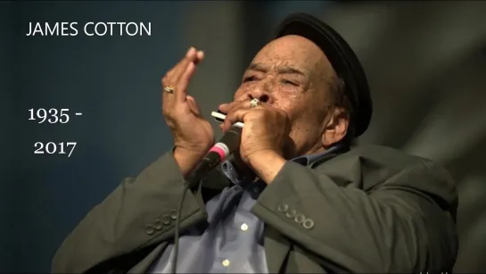 JAMES COTTON (01.07.1935 - 16.03.2017)