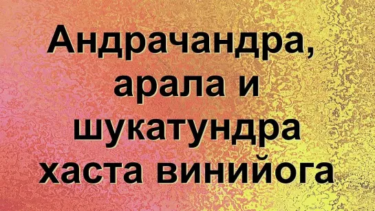 Винийога андрачандра арала и шукатундра хаста на русском andrachandra shukatundra от Divadance