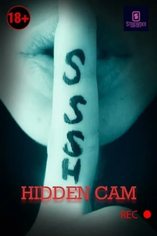 Hidden.Cam.[