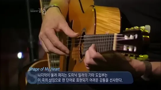 Shape of My Heart - Dominic Miller  • 2012 Recorded live for EBS TV Seoul Korea 도미닉 밀러