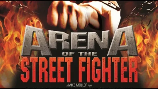 Уличный боец / Arena of the Street Fighter (2013)