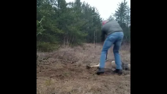 Видео от Поклонники ножей