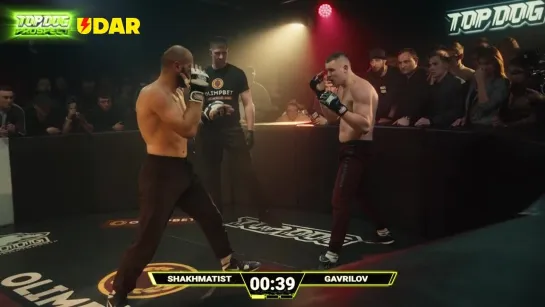 Top Dog Prospect 1: Артем Гаврилов vs Махмуд "Шахматист" Мусалов