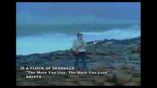 A Flock Of Seagulls - The More You Live, The More You Love