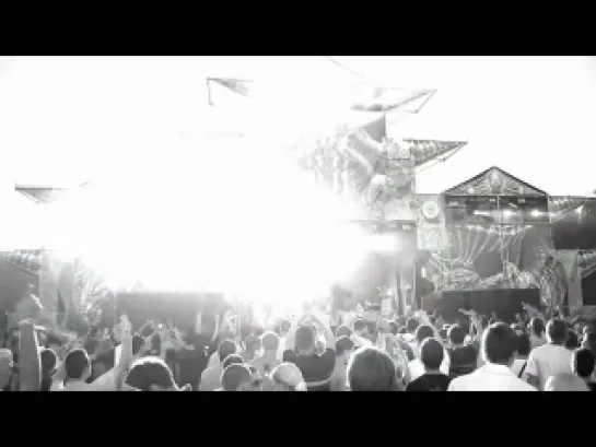 Angerfist - Ultra Music Festival (2010)