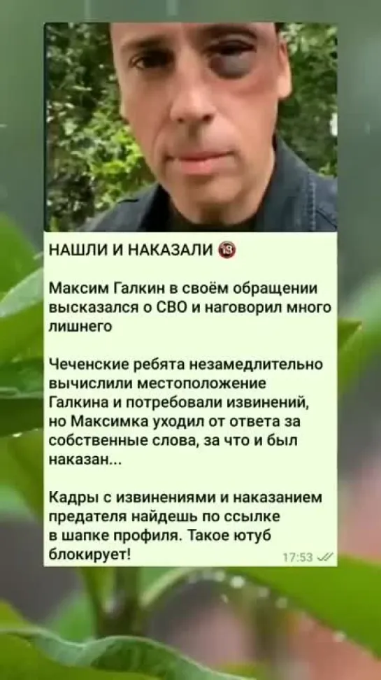 Видео в закреплённом комментарии