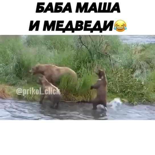 баба маша и медведи