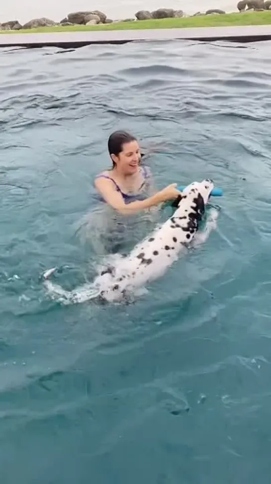 Swimming with Falco | Amanda Cerny