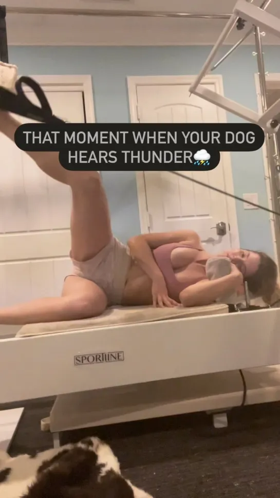 That moment when your dog hears thunder | Amanda Cerny