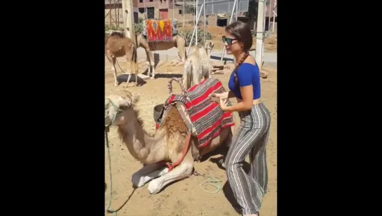 Morocco... | Amanda Cerny