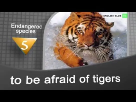 Word Express - Endangered species