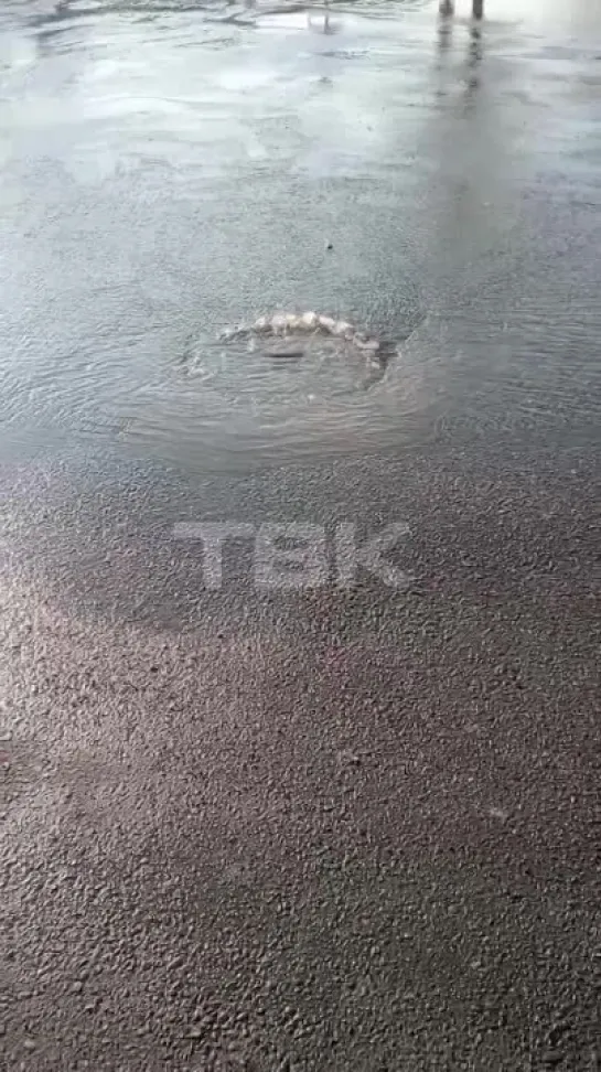 Вода 2 дня бьет из люка возле ТЦ "Сибирский городок"