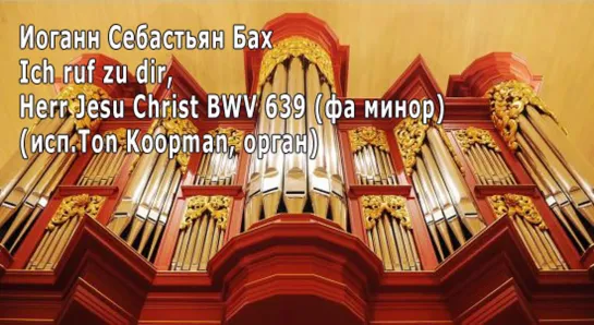 Бах И. С. - Herr Jesu Christ BWV 639 (фа минор)