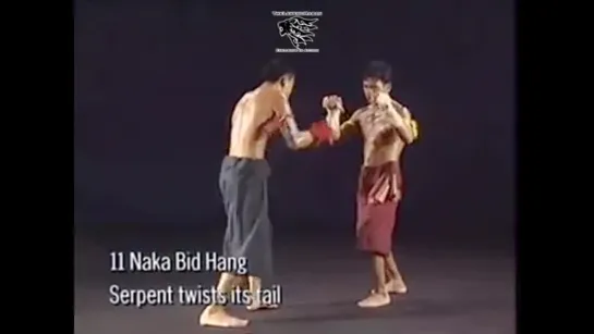 Muay Thai - Mae Mai - Luk Mai Techniques (Full HD)