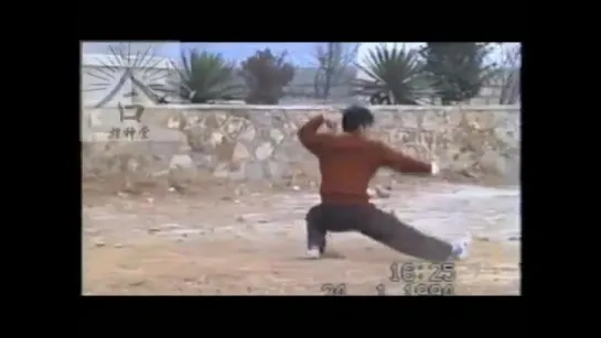 梅花螳螂拳 八肘 1段.mp4.mp4