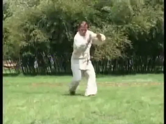 Meihua Tanglang Quan