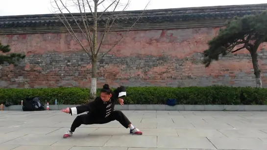 Wudang Tanglang Quan (Praying Mantis)