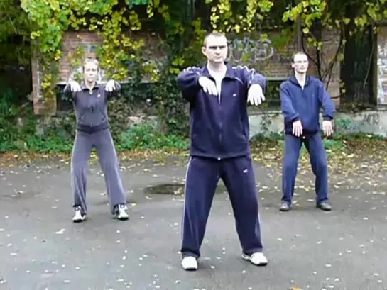 Chen Taijiquan Canon fist Are Lu fragment