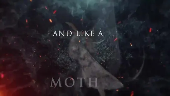 DELAIN - Moth To A Flame  Napalm Records