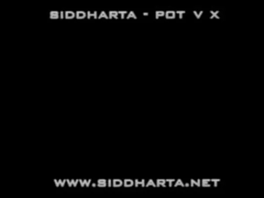 Siddharta-Pot v X