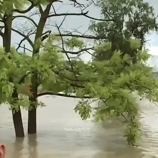 Видео от Елены Время