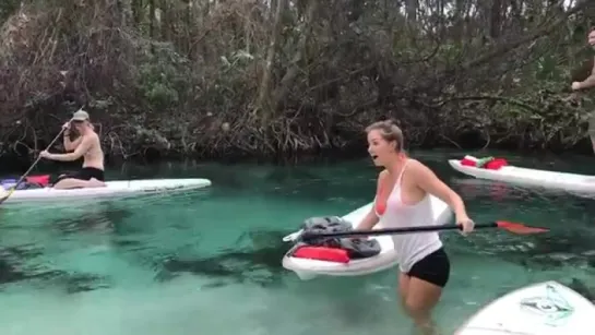 Raccoon Tries to Steal Kayakers Food