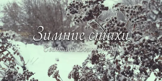 Зимние стихи - Светлана Волокитина