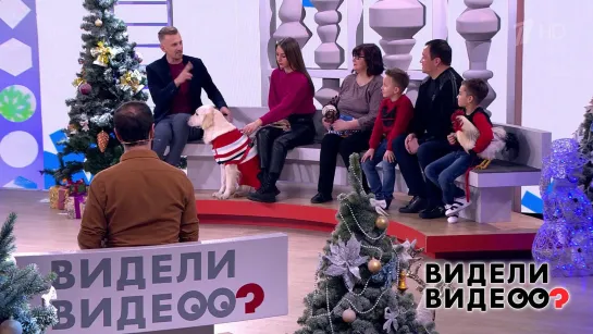 Видели видео? Часть 2. Выпуск от 27.12.2020