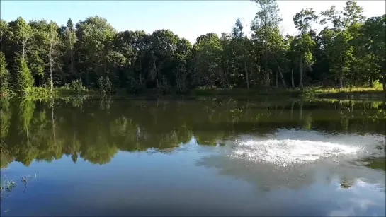 САЛЬТО НАД БАРСКИМ ПРУДОМ (д.Старые Липы, усадьба Брянчаниновых)