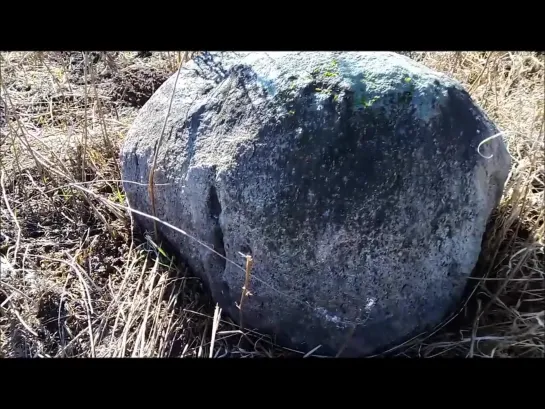 Локнянский район. Культовое городище. "Камень-стрела".