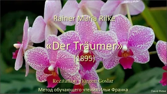 Der Träumer (Сновидец/мечтатель)/Rainer Maria Rilke/