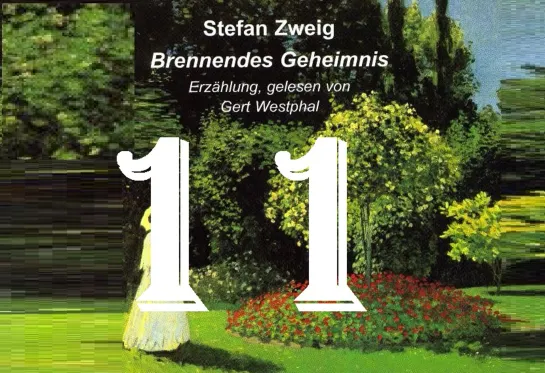 11. Der Überfall (нападение)/Brennendes Geheimnis/S. Zweig