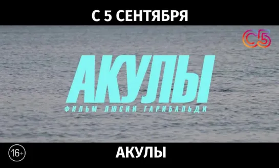 Акулы, 16+