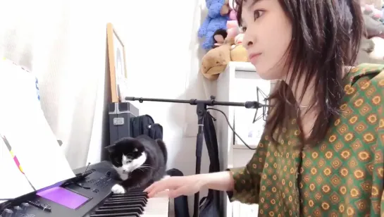 May'n - Diamond Crevasse with Cat [short home edition][2020.04.14]