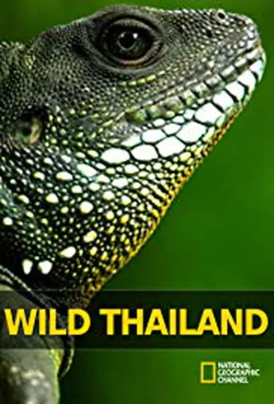 National Geographic: Дикая природа Таиланда (2013 г.) / Wild Thailand / 2 серии